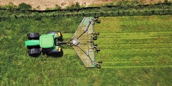 Should You Mow Grass in Winter?