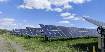 Is Solar Power Enough to Run Your Farm? What Farmers Need to Know