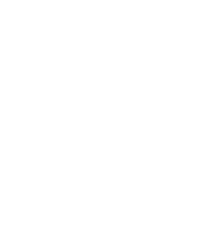 Credible Knowledge Know How Icon Credible Knowledge Know How Icon
