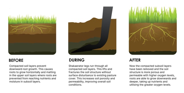 Shakaerator Diagram | Before, During, and After