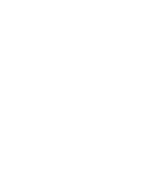 Shield White 600px Shield White 600px