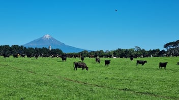 10 ways to reduce farm costs