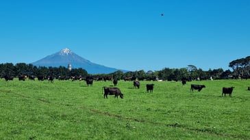 10 ways to reduce farm costs