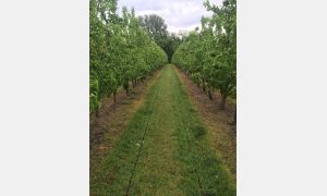 Fruitaerator in the NZ landscape