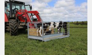 Dual Hitch 7 x 4 Transport Tray New Zealand