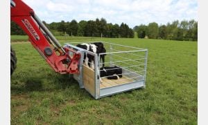 Dual Hitch 7 x 4 Transport Tray at AgriQuip