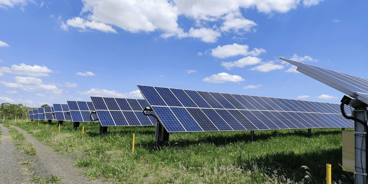 Is Solar Power Enough to Run Your Farm? What Farmers Need to Know
