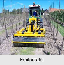 Fruitaerator