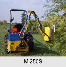 M 250S