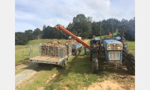 Firewood Equipment NZ