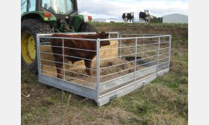 Transport Trays New Zealand