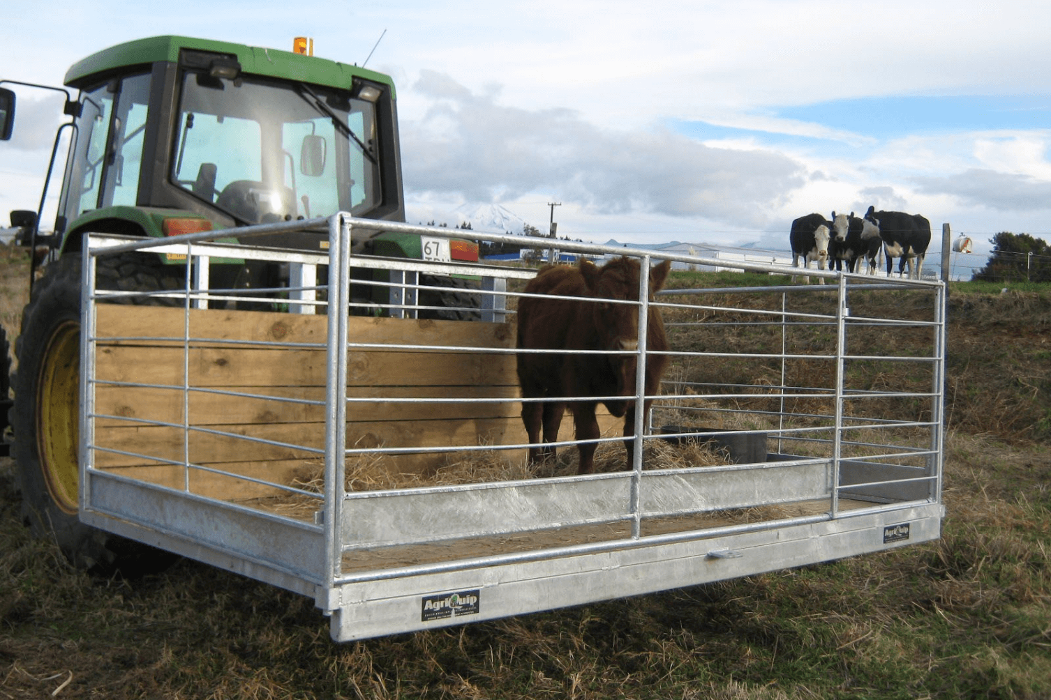 Transport trays for live stock